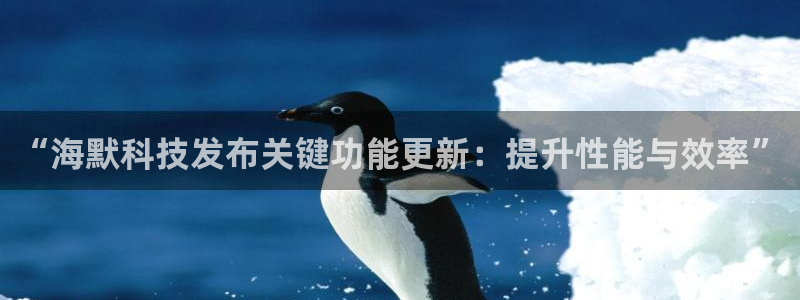 “海默科技发布关键功能更新：提升性能与效率”