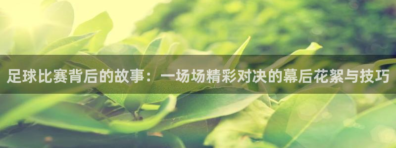 足球比赛背后的故事：一场场精彩对决的幕后花絮与技巧