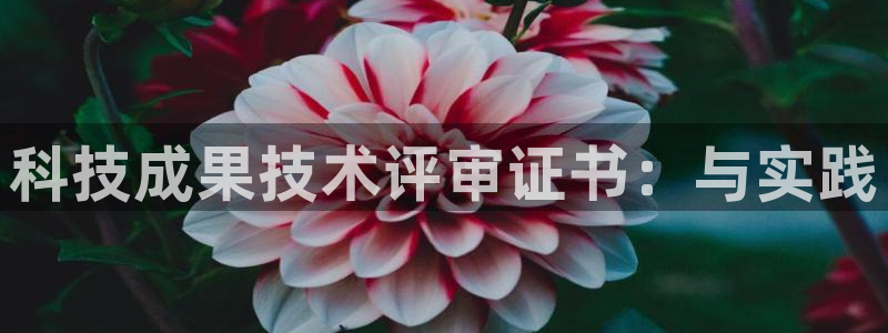 科技成果技术评审证书：与实践