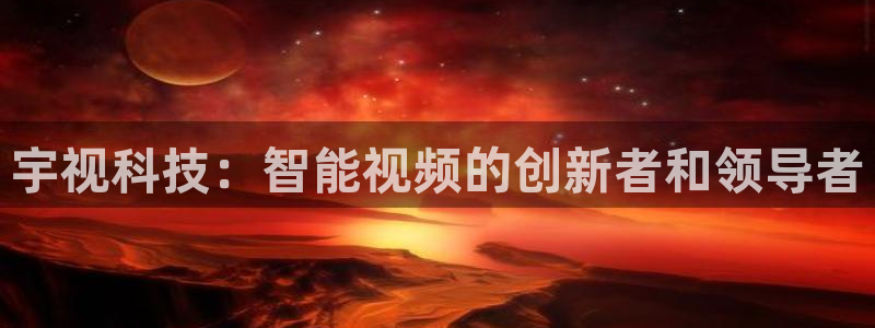 宇视科技：智能视频的创新者和领导者